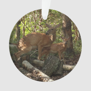 Ornamento Madre e bebê veados no Parque Nacional de Shenand