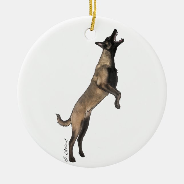 Ornamento Malinois Belga (Frente)