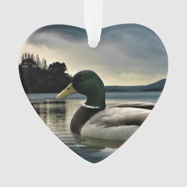 Ornamento Mallard Duck No Lago (Frente)