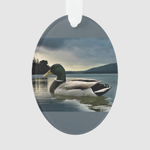 Ornamento Mallard Duck No Lago