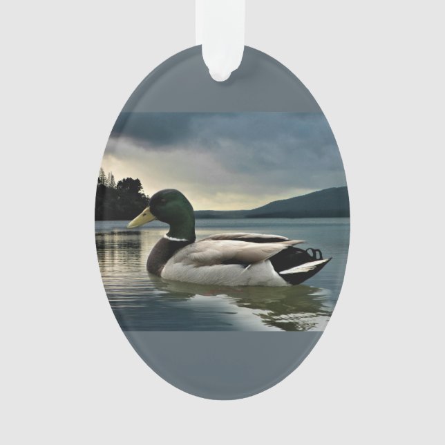 Ornamento Mallard Duck No Lago (Frente)