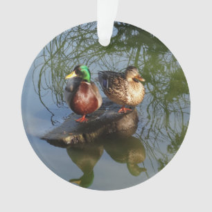 Ornamento Mallard Ducks nº 2 Ornament