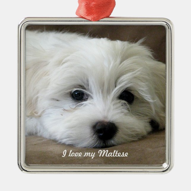 Ornamento maltês (Frente)