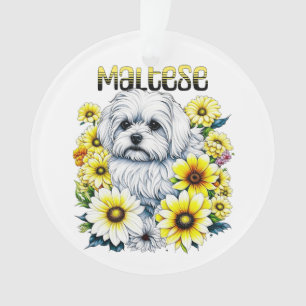 Ornamento Maltês - Pequeno Cachorro Branco Bree in Yellow Fl