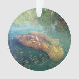Ornamento Mamãe e Baby Manatee - Ornament acrílico