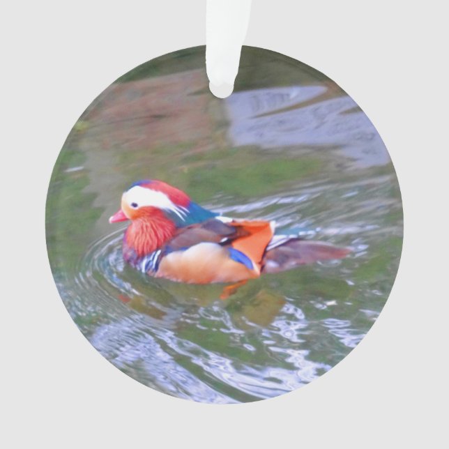 Ornamento Mandarin Duck nº 2 (Frente)