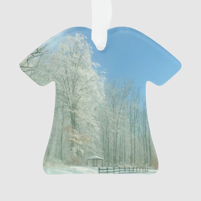 Ornamento manhã de inverno (Frente)