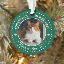 Ornamento Memorial de Foto e Nome de Gato para Sempre em Nos