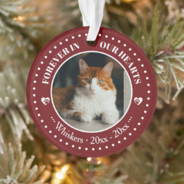 Ornamento Memorial de Foto e Nome de Gato para Sempre em Nos