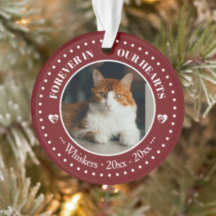 Ornamento Memorial de Foto e Nome de Gato para Sempre em Nos