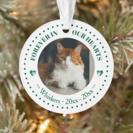 Ornamento Memorial de Foto e Nome de Gato para Sempre em Nos