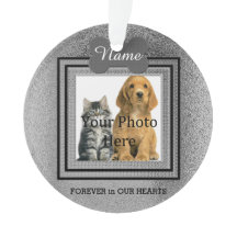 Memórias Perfeitas de Cães ou Gatos