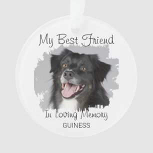 Ornamento Meu Melhor Amigo Pet Memorial