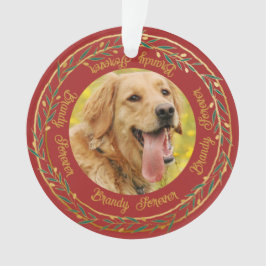 Ornamento Minha Foto de Pet Coroa de Baga Dourada Vermelha N
