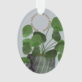 Ornamento Minimalist Money Plant - Acrylic Oval Ornament