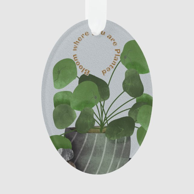 Ornamento Minimalist Money Plant - Acrylic Oval Ornament (Frente)