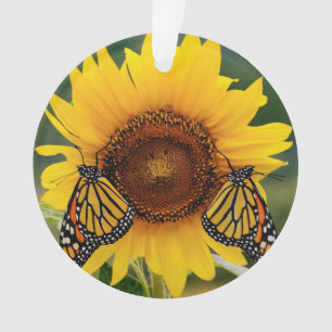 Ornamento Monarca Butterfies no girassol