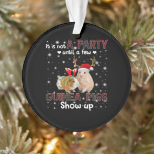 Ornamento Não É Uma Festa Até Que Alguns Porcos Da Guiné Apa