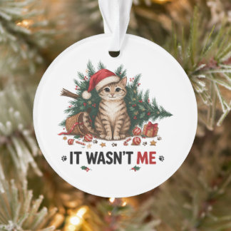 Ornamento Não Fui Eu Natal Gato Papai Noel Chapéu Natal Féri