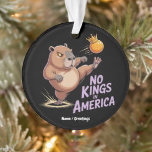 Ornamento Não Há Reis Na América Nós, As Pessoas, Engraçados