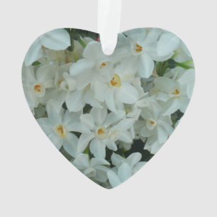 Ornamento Narciso Branco Delicado de Paperwhite Flores