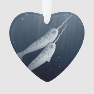 Ornamento Narwhals bonito que nada junto debaixo d'água