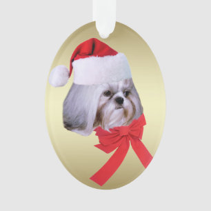 Ornamento Natal, cão de Shih Tzu, chapéu do papai noel