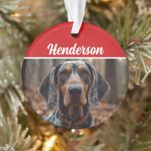 Ornamento Natal de Férias do Nome do Conhound Bluetick