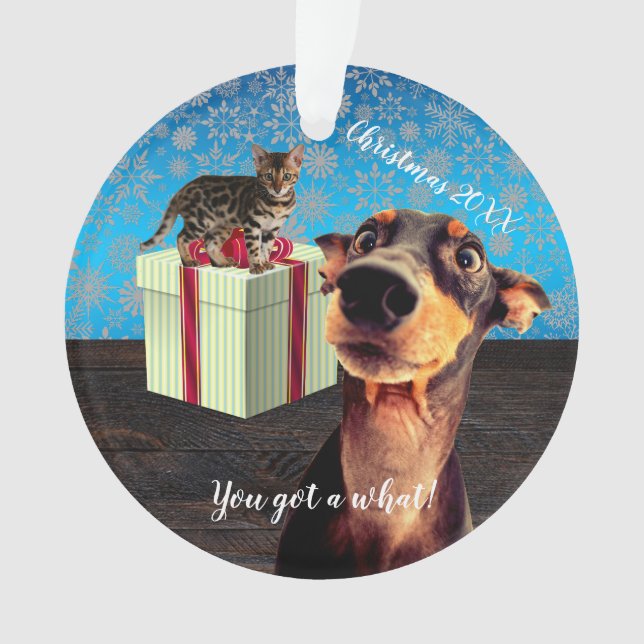 Ornamento Natal do Doberman chocado (Frente)