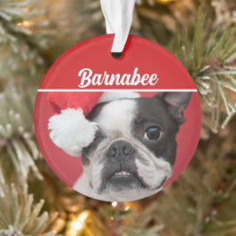 Ornamento Natal do nome do cachorro de Boston Terrier