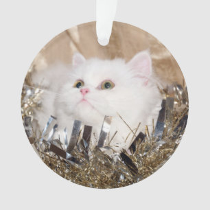 Ornamento Natal persa branco do gato do gatinho