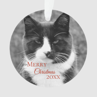 Ornamento Natal preto e branco do gato