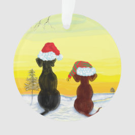 Ornamento natal springador