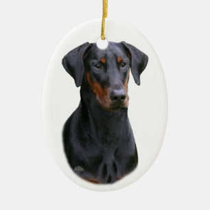 Ornamento natural das orelhas do Pinscher preto de