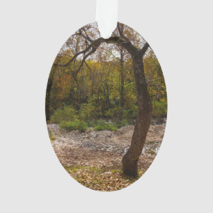 Ornamento Natureza A Atingir