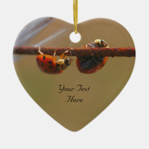 Ornamento Natureza Cuta de Ladybugs Balanceamento