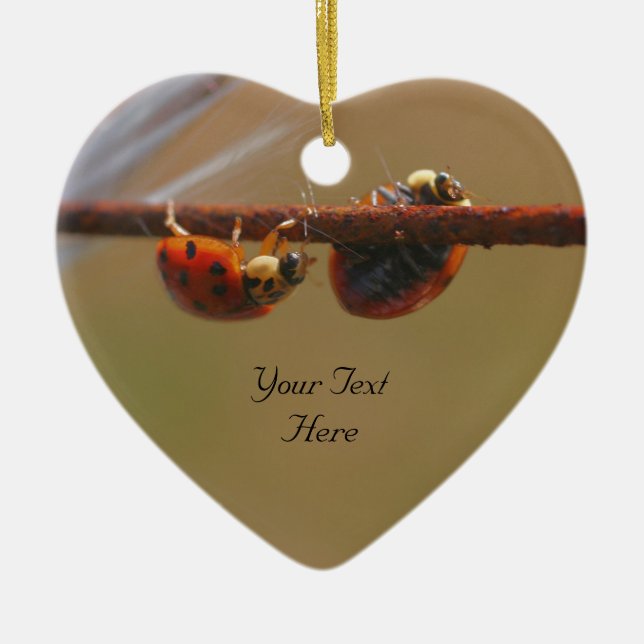 Ornamento Natureza Cuta de Ladybugs Balanceamento (Frente)