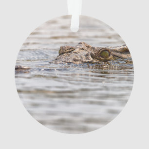 Ornamento Nile Crocodilo