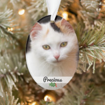 Nome de Foto de Pets Duplos com Nome Acrílico