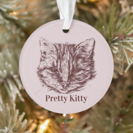Ornamento Nome Personalizado de Cor de Desenho de Tabby Cat