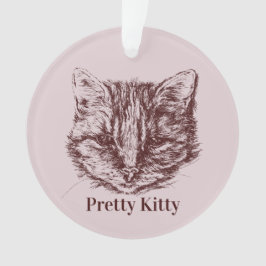 Ornamento Nome Personalizado de Cor de Desenho de Tabby Cat