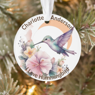 Ornamento Nome Personalizado Do Hummingbird Com A Sua Própri
