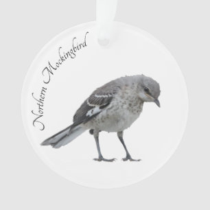 Ornamento Norte Mockingbird
