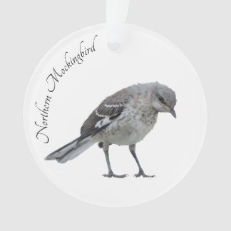 Ornamento Norte Mockingbird