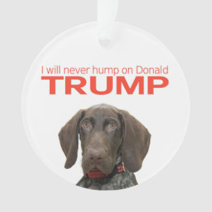Ornamento Nunca vou bater no Donald Trump!
