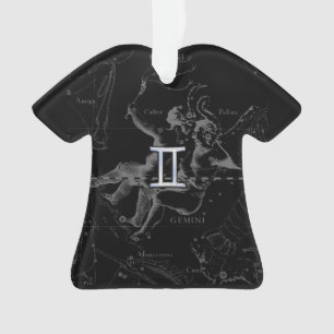 Ornamento O cromo de prata gosta do sinal do zodíaco dos