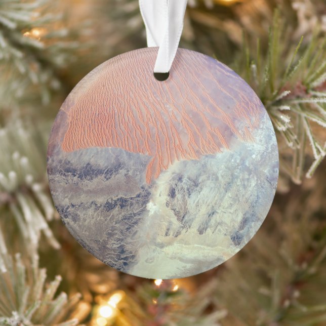 Ornamento O Deserto Do Sara Na Argélia, Norte De África. (Árvore)