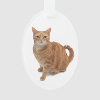 Ornamento Orange Cat
