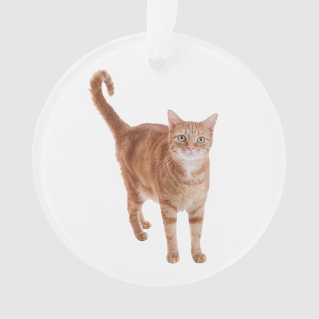 Ornamento Orange Tabby Cat Standing (Frente)