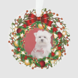 Ornamento Ornament acrílico personalize-o com sua imagem